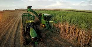 Agricultura aprova zoneamento agrícola para cultivo de sequeiro