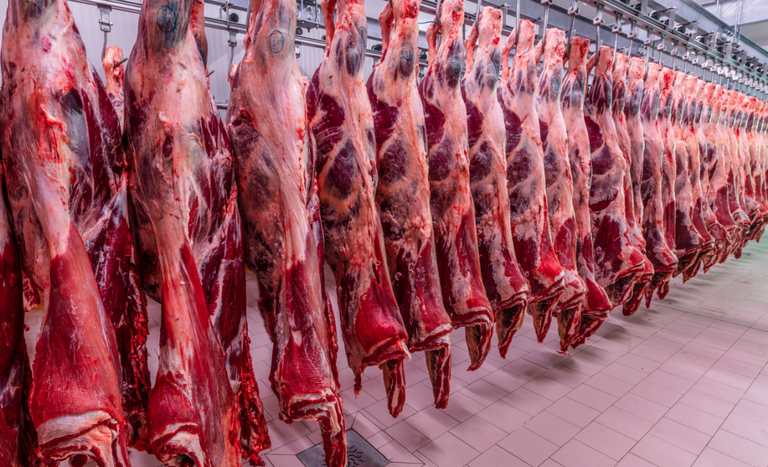 Abrafrigo: volume embarcado de carne bovina em 2025 alcança 3,853 mi de toneladas