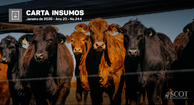 Carta Insumos - Sombreamento: conforto térmico e econômico