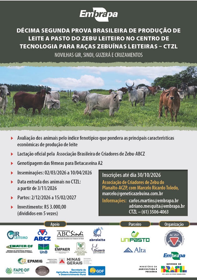 Prova de Leite a Pasto vai selecionar as melhores novilhas zebuínas leiteiras