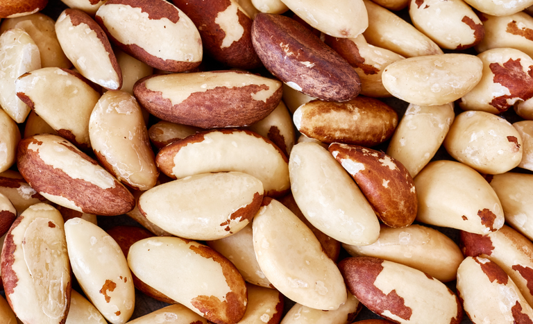 Turquia abre mercado para castanha-do-Brasil