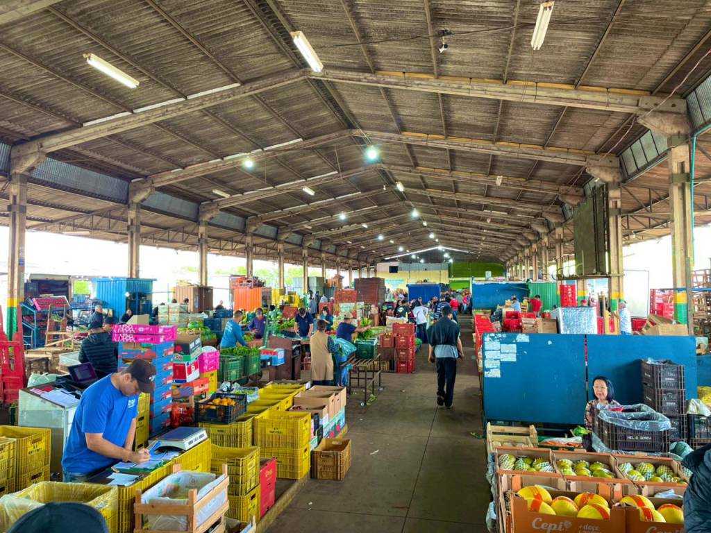 Boletim da Conab identifica queda de preços da maçã em todas as Ceasas analisadas