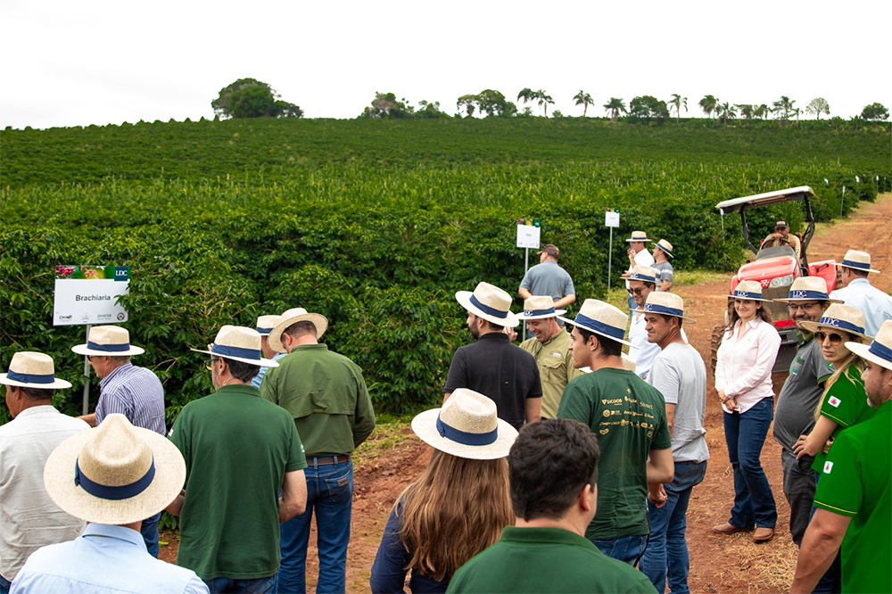 Cecafé e Emater-MG avançam em ações do programa Construindo Solos Saudáveis