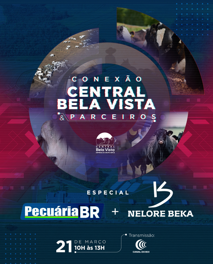 Conexão Central Bela Vista & Parceiros: Pecuária BR e Nelore Beka hoje às 10h no Canal do Boi