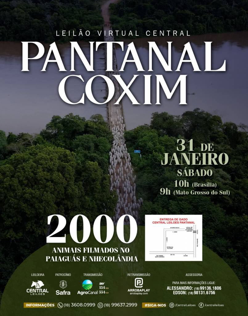 Sábado tem rodada dupla da Central Leilões no Agro Canal a partir das 10h