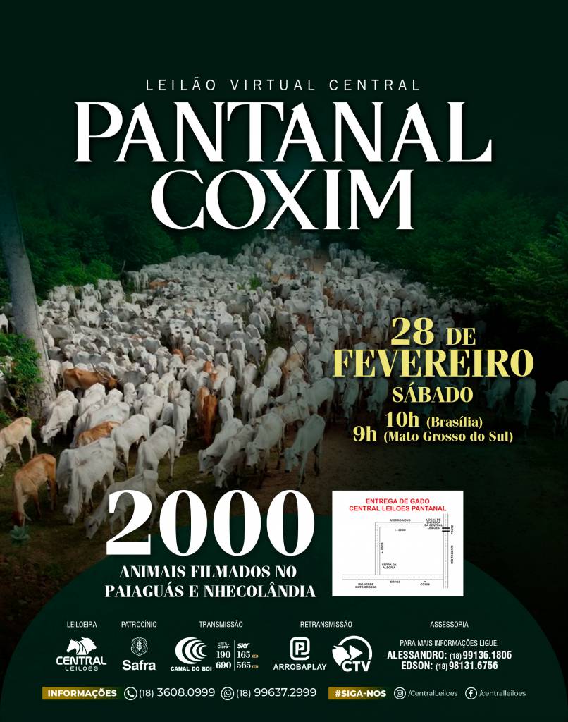 Leilão Central Pantanal Coxim oferta 2.000 animais neste sábado no Canal do Boi