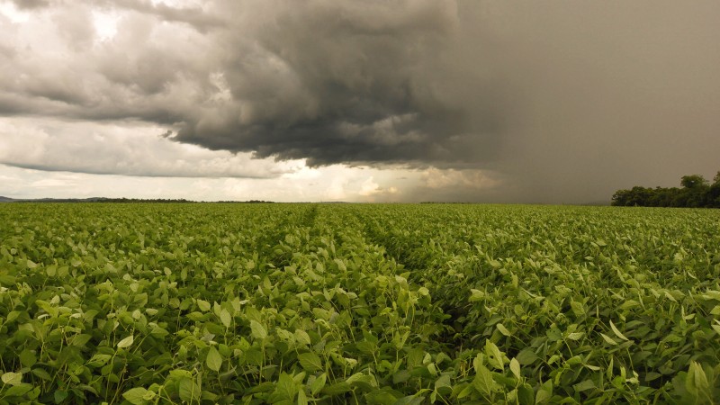 Possível El Niño preocupa produtores para a próxima safra