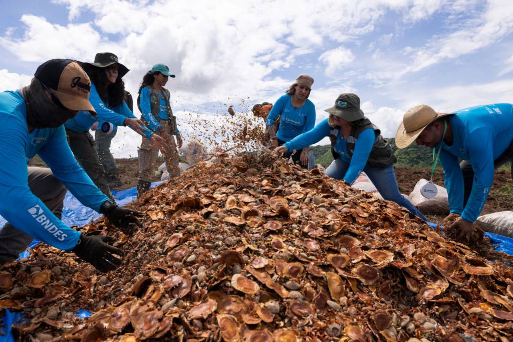  Rede de sementes movimenta quase R$ 1 milhão e fortalece restauração ambiental na bacia do Taquari