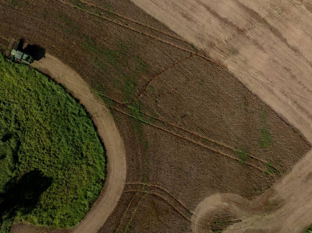 Valor de Produção Agropecuária em Santa Catarina cresce 15% e atinge R$ 74,9 bilhões em 2025