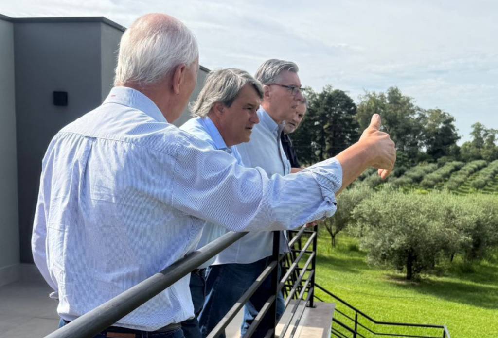 Abertura da Colheita da Oliva muda para abril e adota formato voltado a negócios