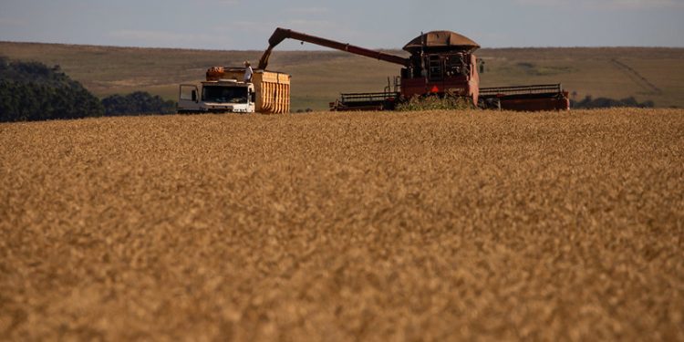 Mesmo com El Niño, projeto orçamentário prevê incerteza para Seguro Rural em 2027