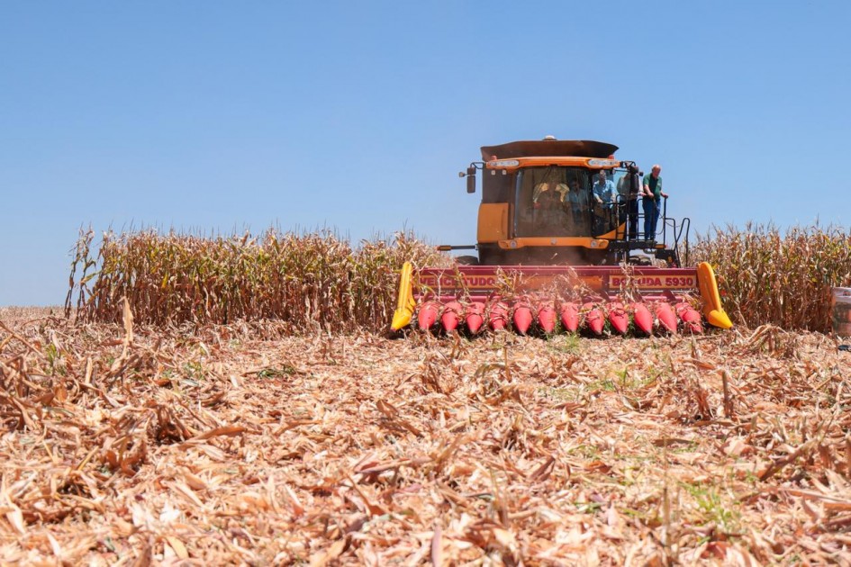 Rio Grande do Sul realiza a 13ª Abertura da Colheita do Milho no Rio Grande do Sul, em São Borja