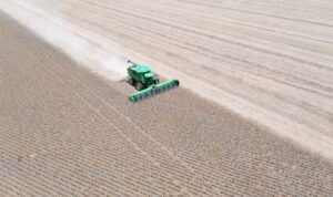 Emater: colheita de soja no RS atinge 5% da área