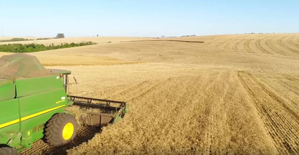 Deral: Paraná inicia colheita do trigo; milho 2ª safra está 83% colhido