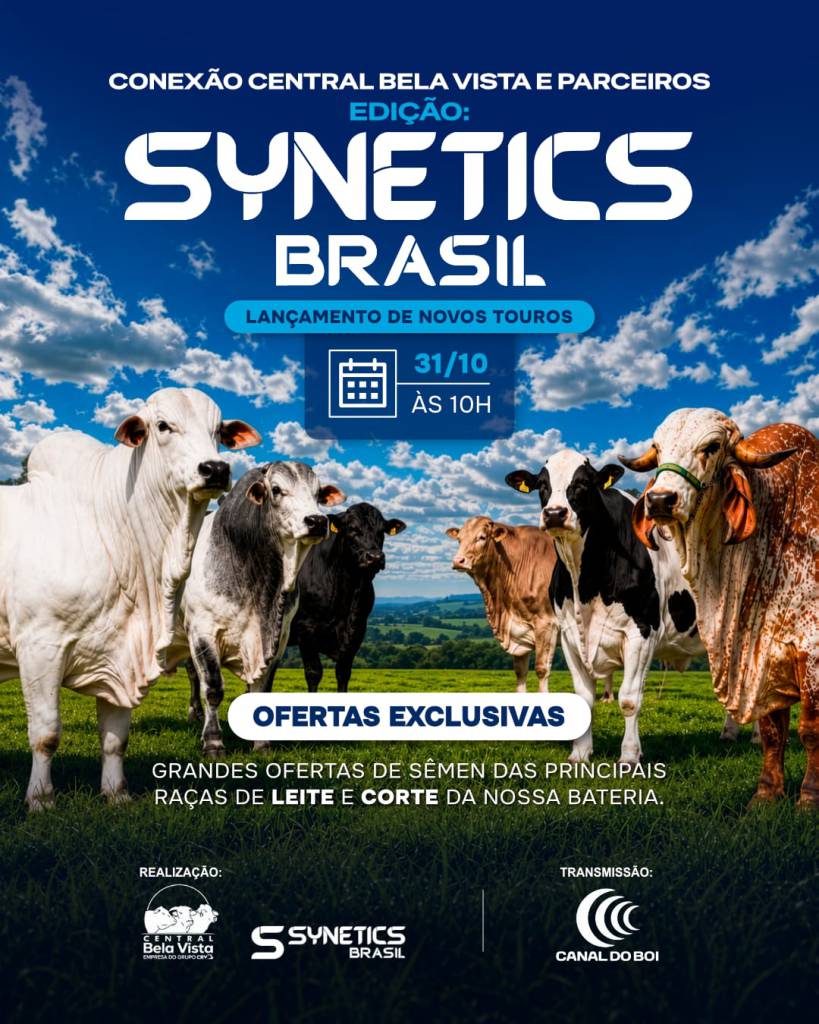 Conexão Bela Vista e Parceiros Synetics Brasil hoje às 10h no Canal do Boi