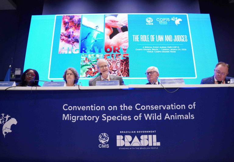 COP15: Autoridades destacam papel do Judiciário e da cooperação internacional na conservação de espécies migratórias