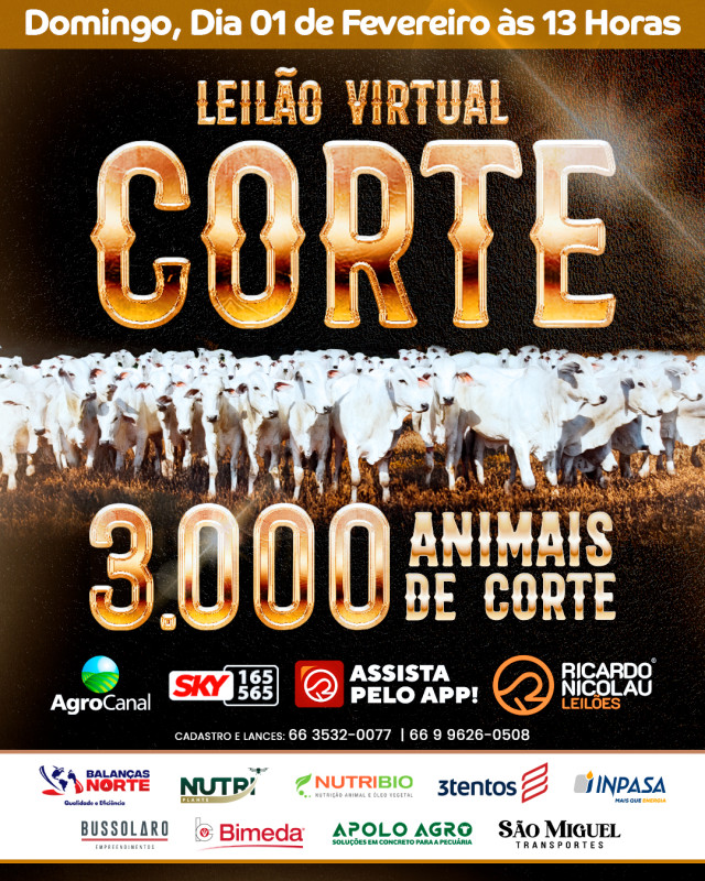 Ricardo Nicolau Leilões oferta 3.000 animais para cria, recria e engorda neste domingo no Agro Canal