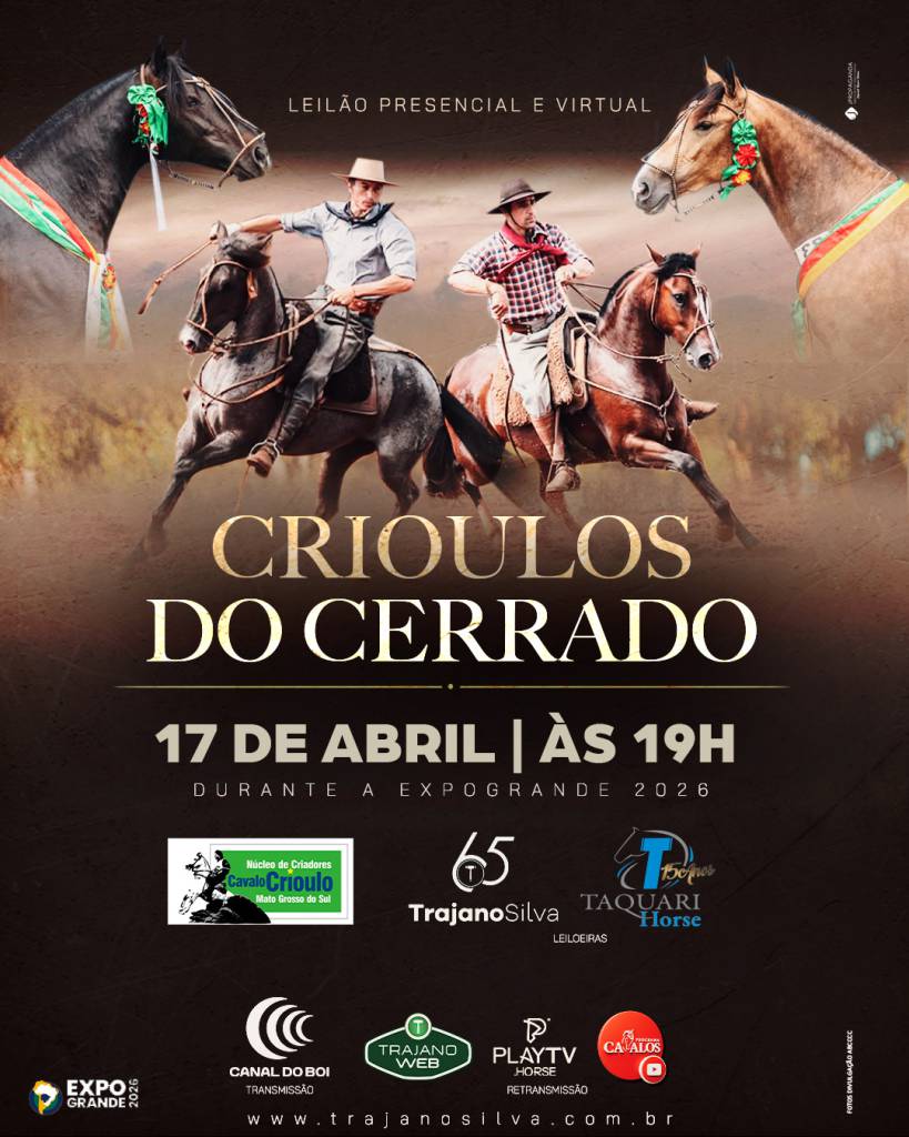 Leilão Crioulos do Cerrado nesta sexta-feira no Canal do Boi