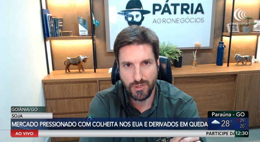Soja segue pressionada com oferta dos EUA e dólar em queda