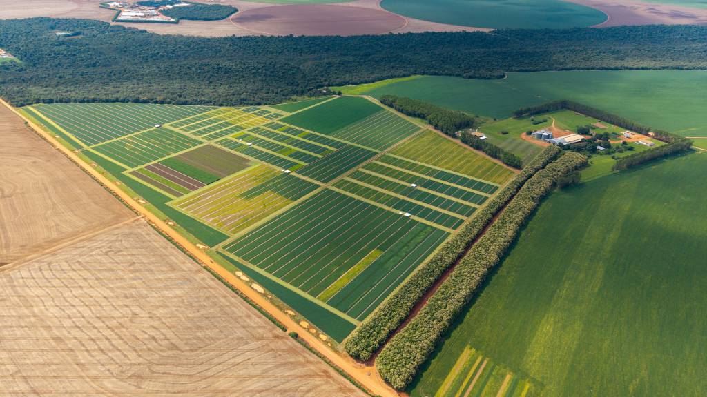 CTECNO Parecis completa 10 anos com histórias que marcam gerações no campo