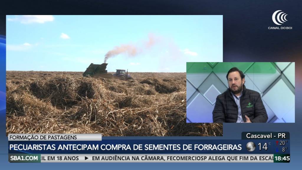 Pecuaristas antecipam compra de sementes de forrageiras