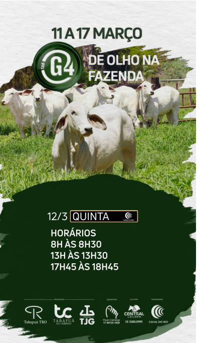 De Olho na Fazenda TAB G4 oferta animais tabapuã selecionados no Canal do Boi