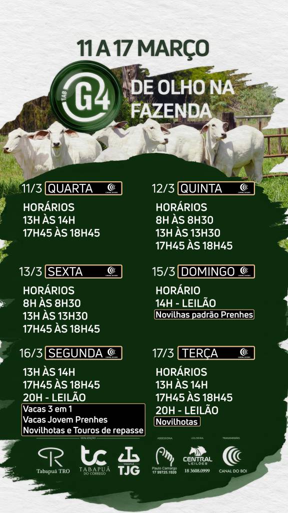 De Olho na Fazenda TAB G4 oferta animais tabapuã selecionados no Canal do Boi