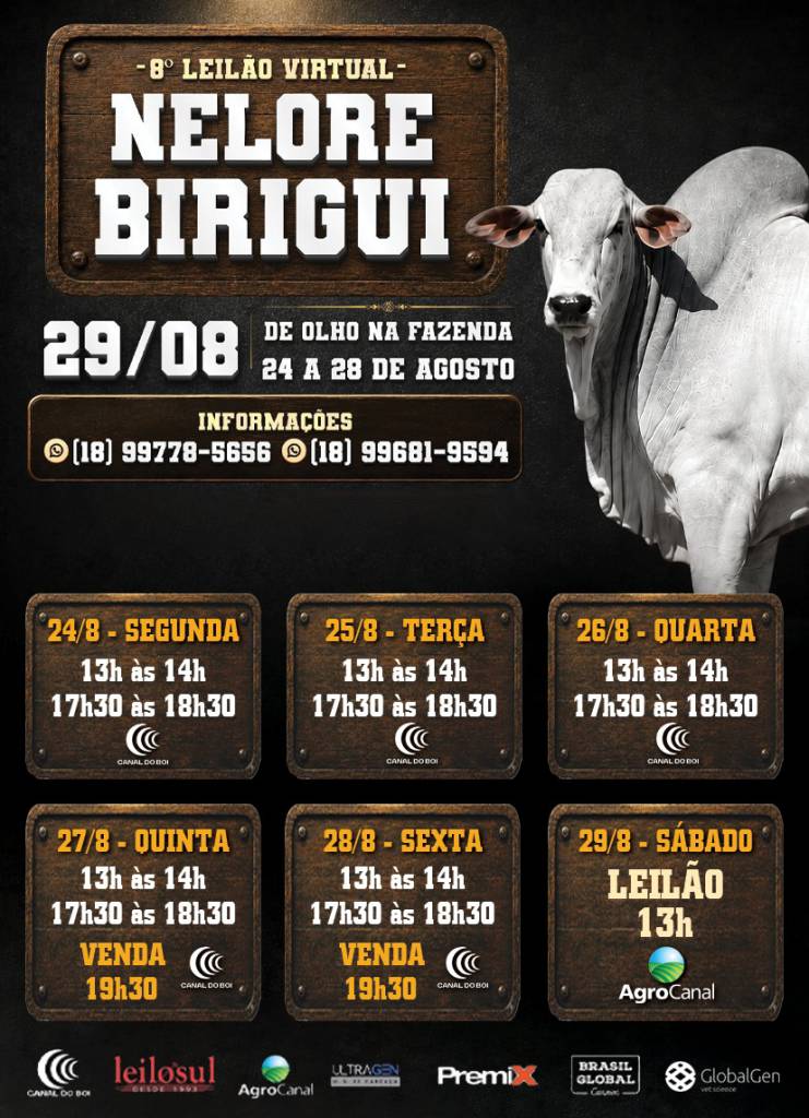 8º De Olho na Fazenda Nelore Birigui oferta reprodutores selecionados a preço fixo no Canal do Boi e AgroCanal