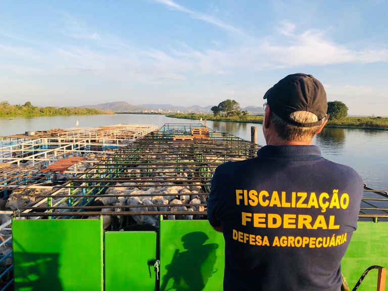Nova lei amplia adicional de fronteira e reforça atuação da defesa agropecuária nas regiões estratégicas do país