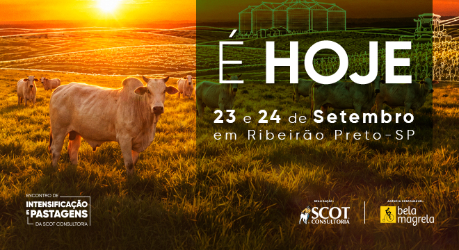 Encontro de Intensificação e Pastagens começa hoje em Ribeirão Preto