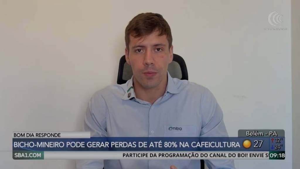 Bicho-mineiro: especialista explica como prevenir uma das pragas mais agressivas do café