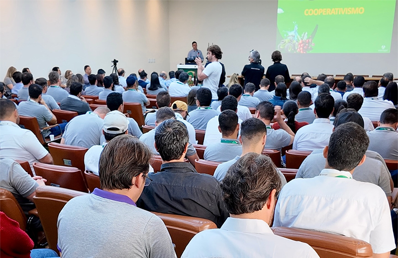 Setor cafeeiro amplia ações para promoção do trabalho decente com nova etapa de capacitações