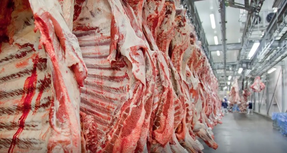 Brasil amplia venda à China de bovinos em 2025 mas salvaguarda preocupa