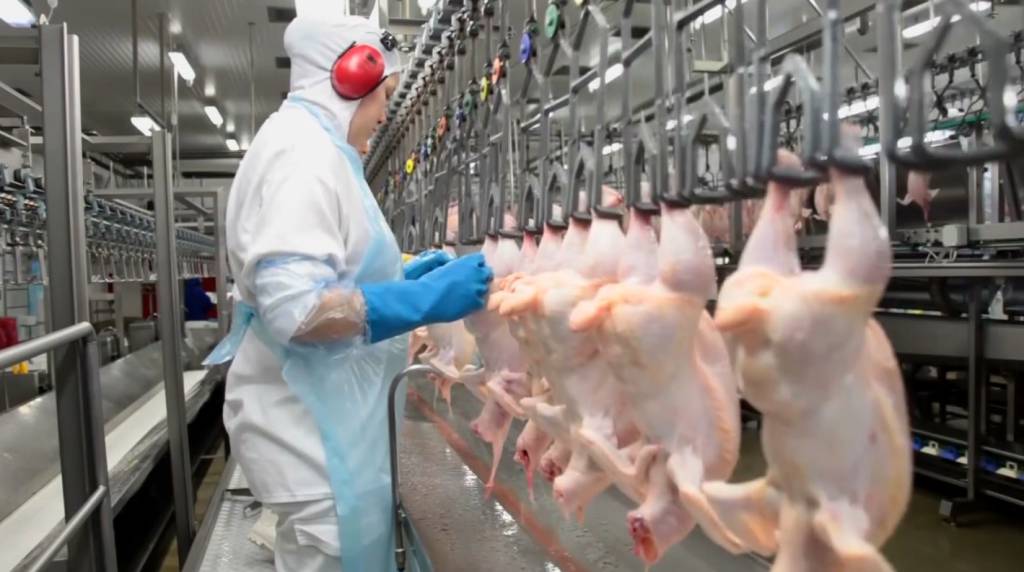 Vendas externas de frango são recordes no 1º trimestre