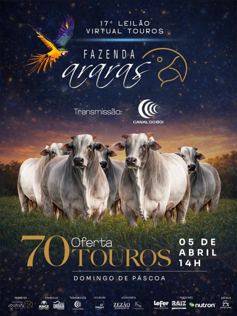 Leilão da Fazenda Araras oferta reprodutores neste domingo no Canal do Boi