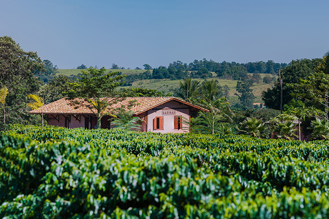 Projeto Corredores Arborizados amplia iniciativas em cafeicultura regenerativa da Expocacer