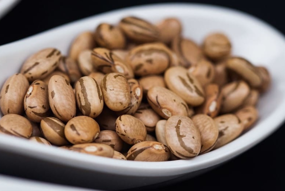 Preços do feijão disparam no encerramento de janeiro