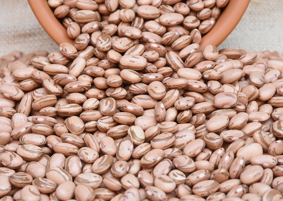 Menor oferta eleva preços do feijão