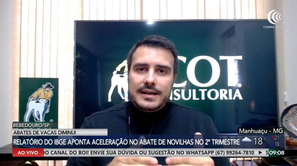 Abate expressivo de fêmeas reduziu oferta de bezerros e cotações subiram