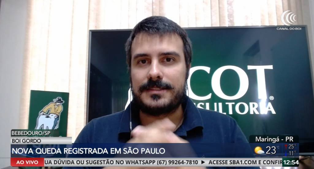 Arroba do boi gordo recua em São Paulo com aumento da oferta