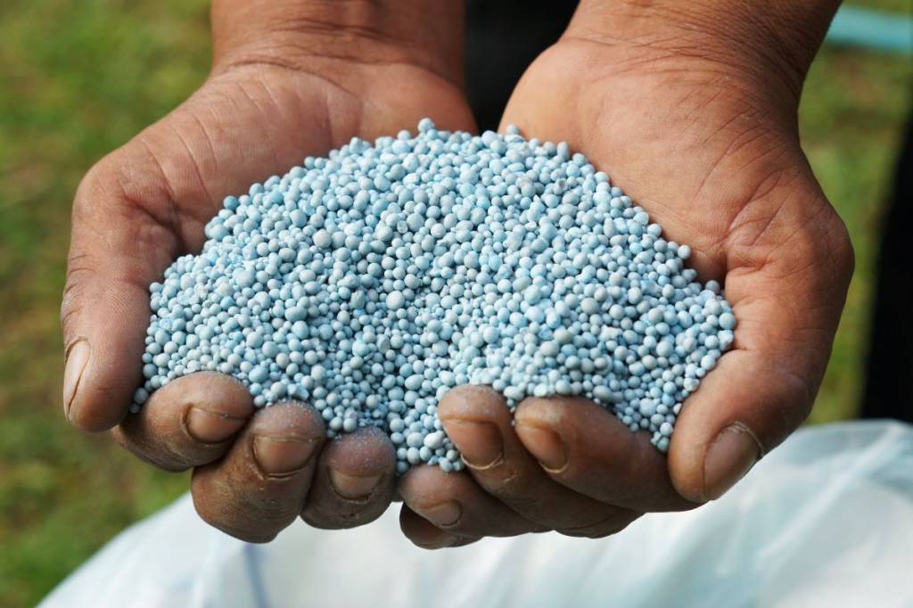 Aumentar a produção nacional de fertilizantes seria alternativa aos conflitos árabes