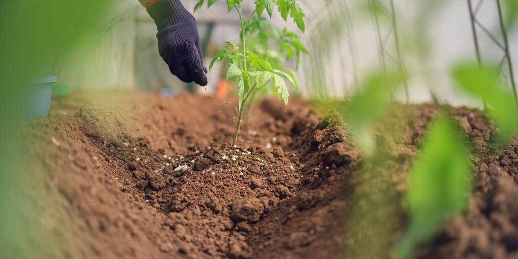 Conflito no Oriente Médio coloca em risco 41% da ureia exportada no mundo