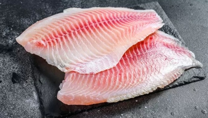 Demanda aquecida da tilápia mantêm cotações