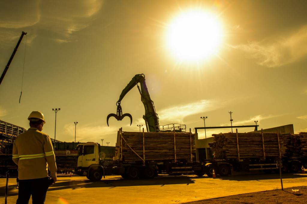  MS Florestal abre vagas para início imediato e realiza entrevistas em dois municípios de MS