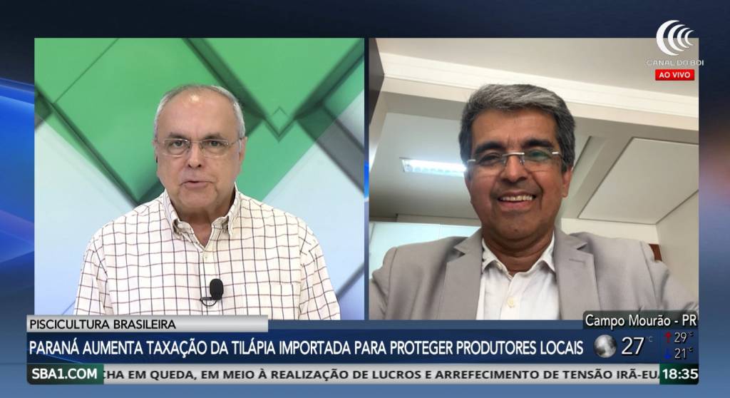 Paraná aumenta taxação da tilápia importada para proteger produtores locais