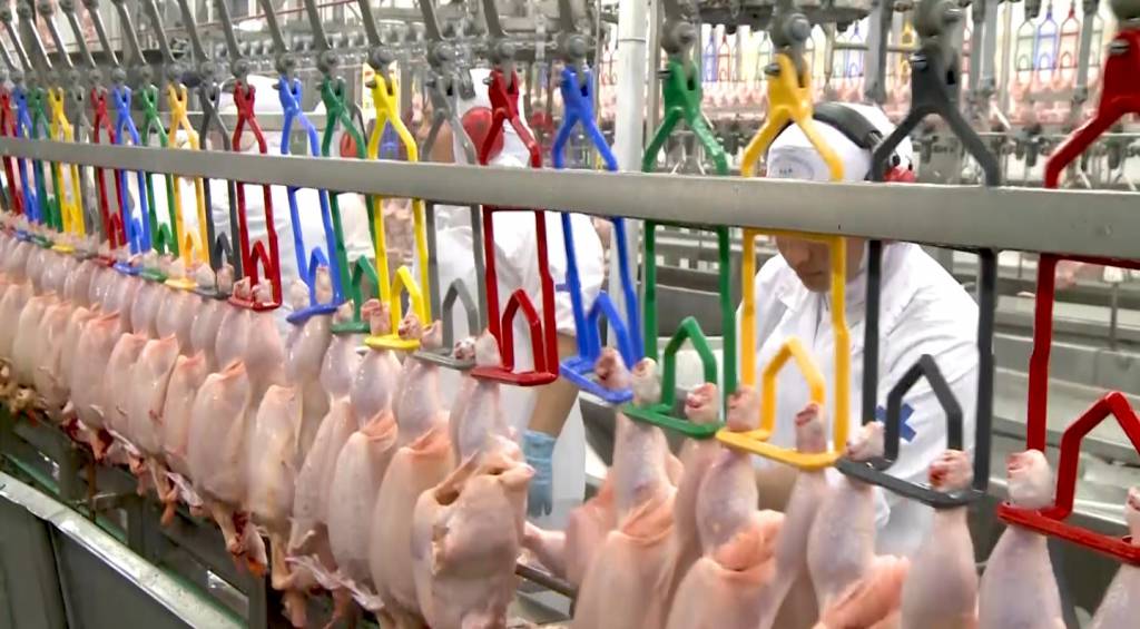 Carne de frango perde competitividade frente à suína, mas ganha em relação à bovina