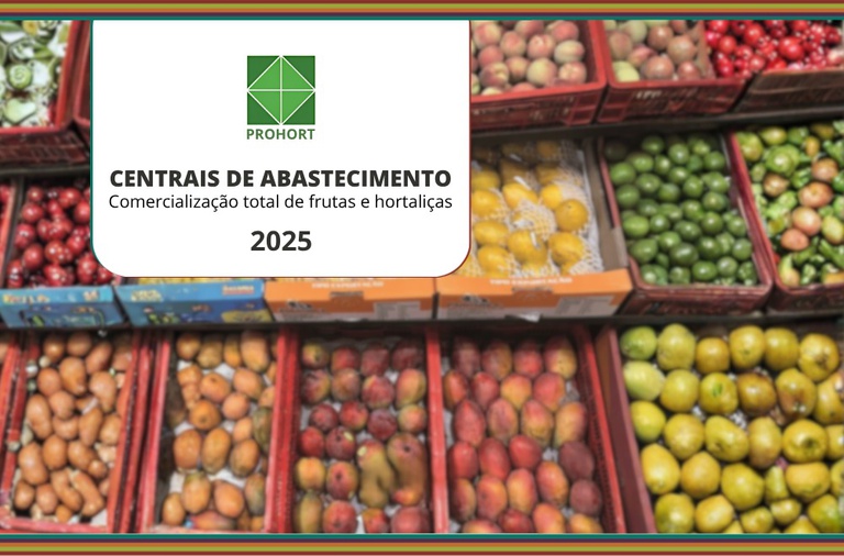 Comercialização de frutas e de hortaliças nas Ceasas brasileiras totalizam 16,6 milhões de toneladas em 2025