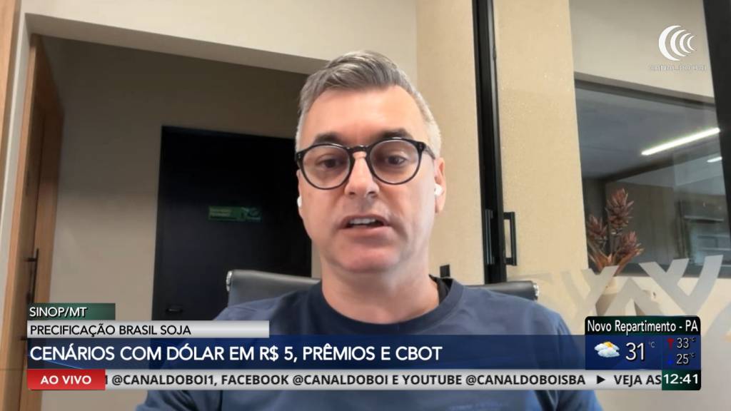 Dólar, prêmios e Chicago influenciam preços da soja no Brasil