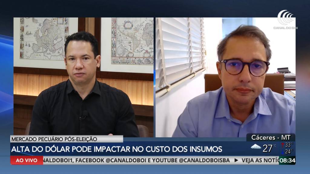 Mercado pecuário pós-eleição: Entenda os impactos para o agronegócio