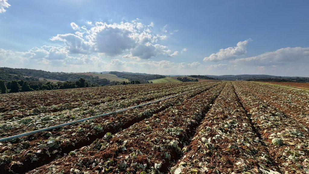 Governo de SP libera R$ 5 milhões para produtores afetados pelas chuvas em Ibiúna e Piedade